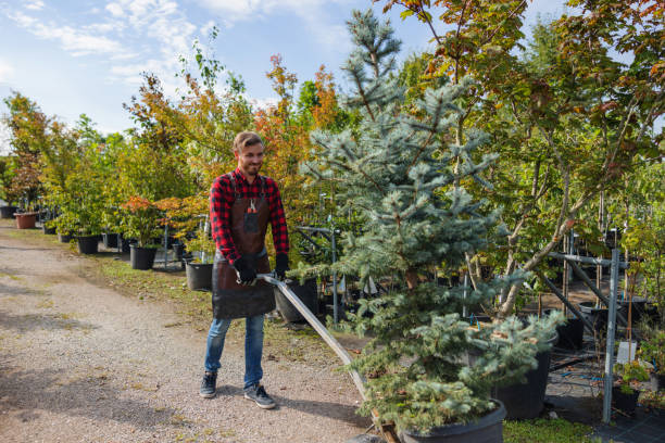 Mulching Services in Morristown, NJ